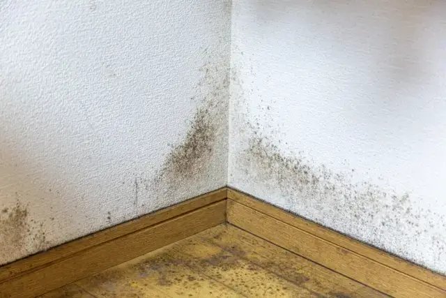 隠れた危険性：給湯器の水漏れを絶対に放置してはいけない理由